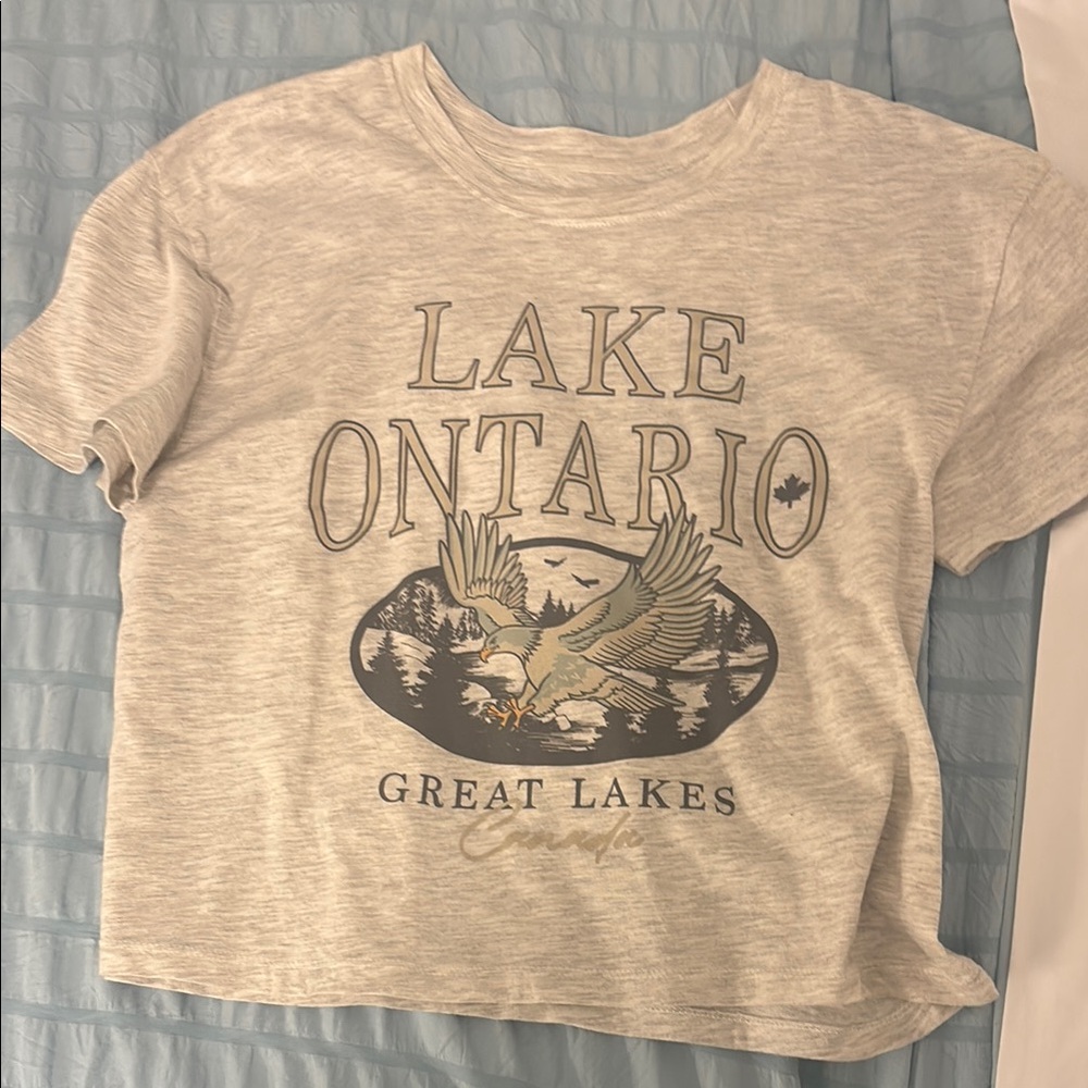 Cute Lake Ontario crop tee size m grey